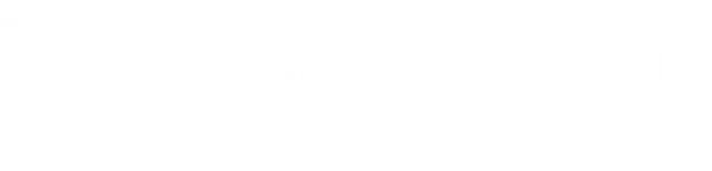 Tomas Hoffmann Logo