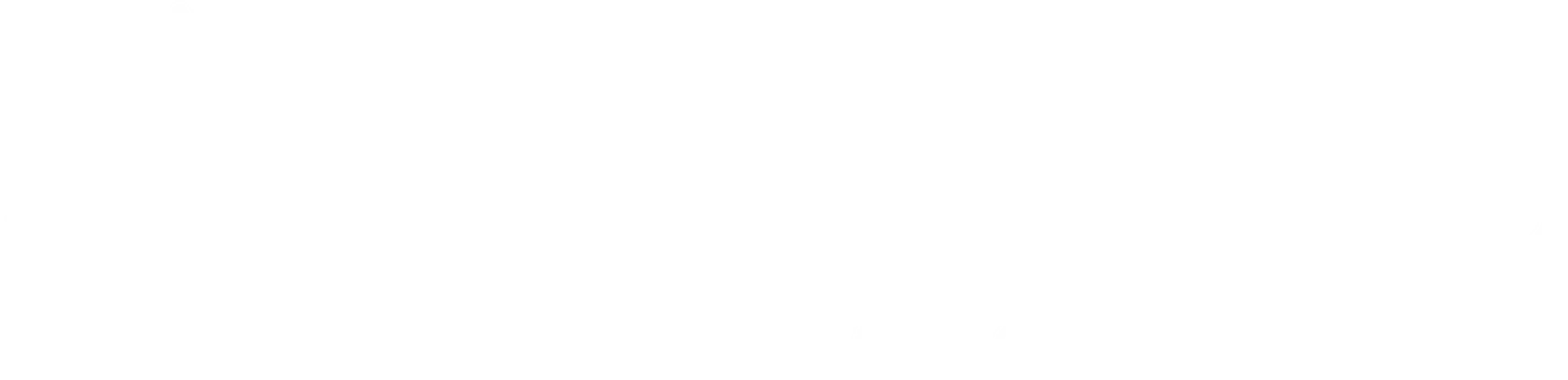 DecoNova Intl Group Logo