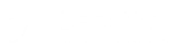 DecoNova Intl Group Logo