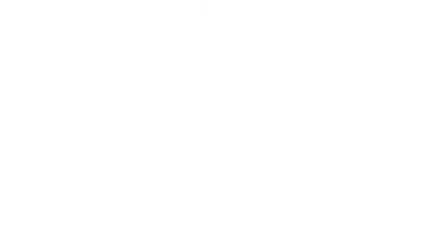 ELEMENTAL MIAMI Logo