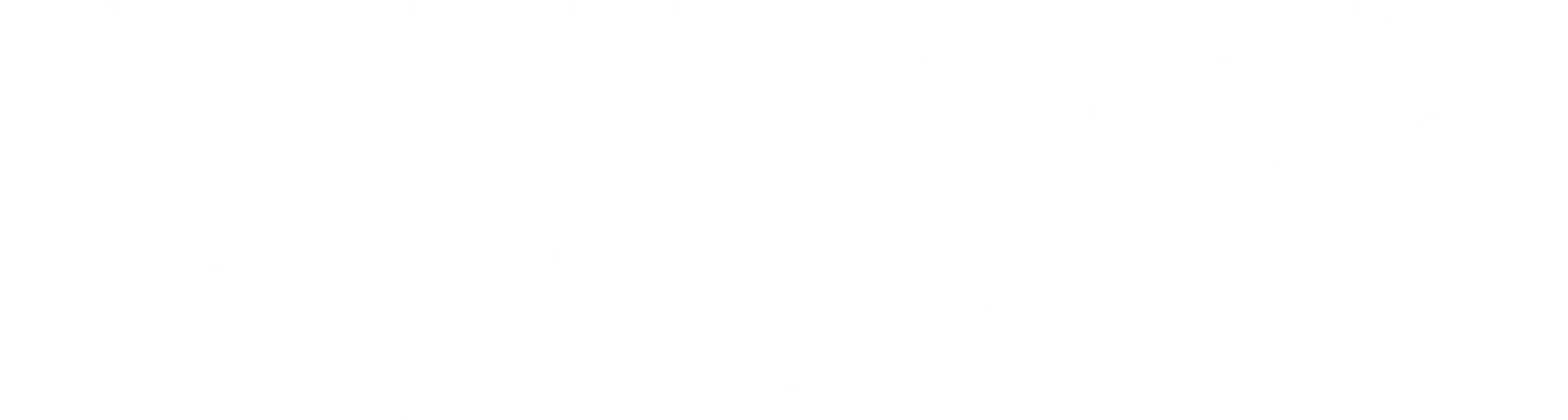 Nemanja Vucicevic Logo