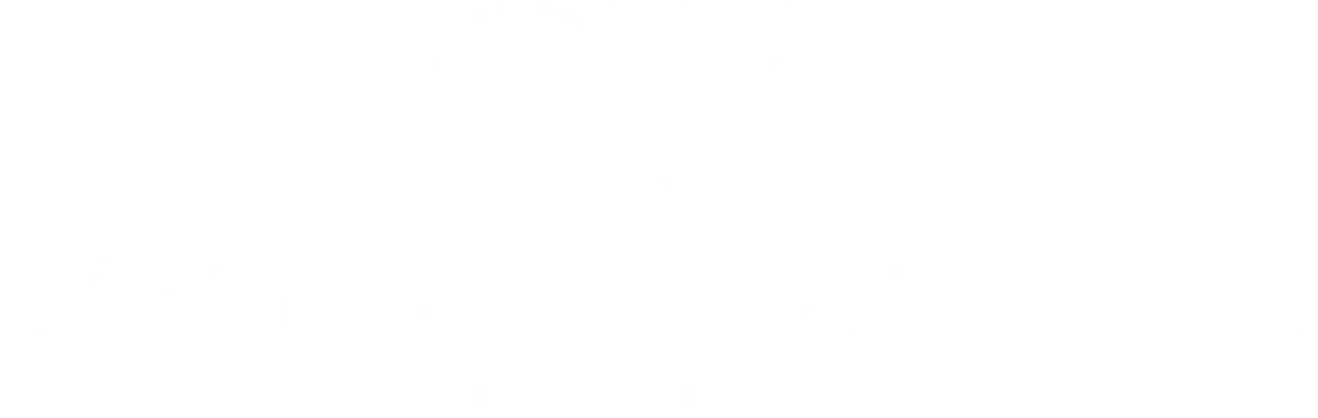 Carolina De Vasconcelos Logo