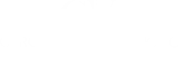 Carolina De Vasconcelos Logo