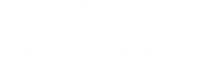 Carolina De Vasconcelos Logo