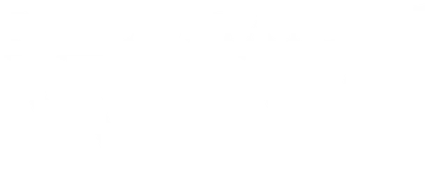 Walter Idrovo Valencia Logo