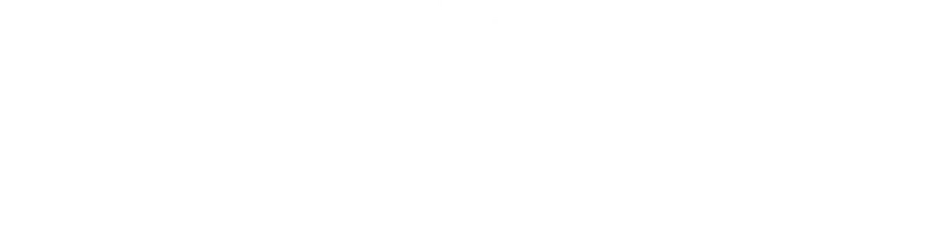Lucia Vanegas Logo