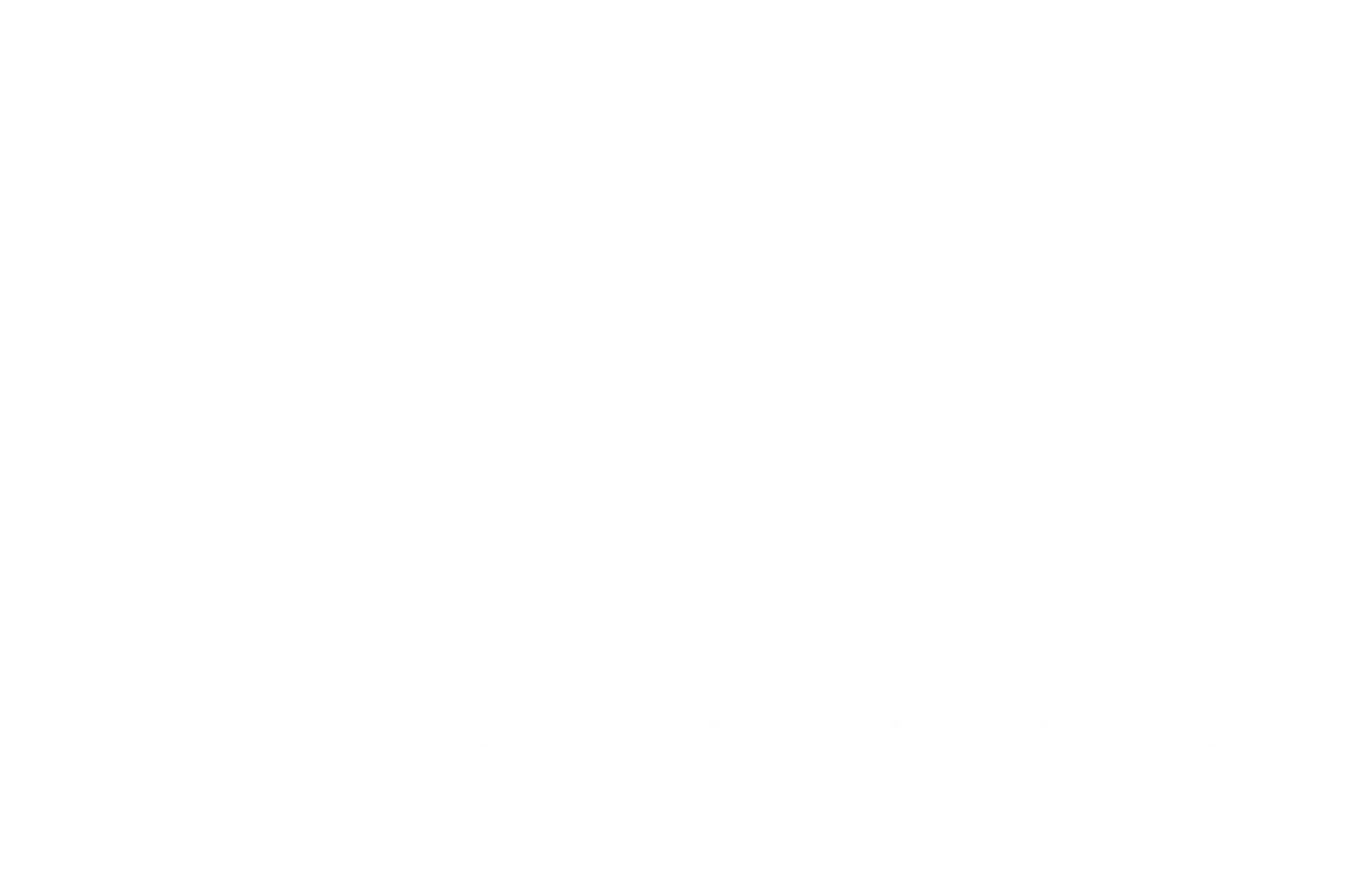 Silvia Sassetti Logo