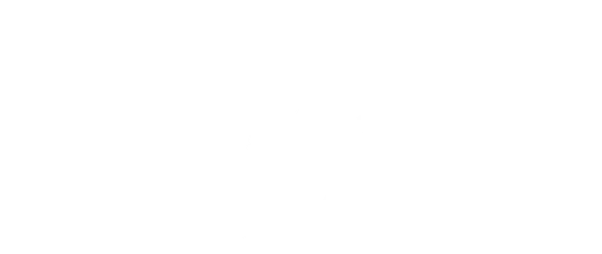Iryna Velychko Logo
