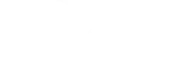 Ivi Rapaport Logo