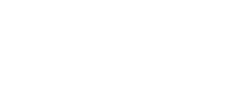 Ivi Rapaport Logo