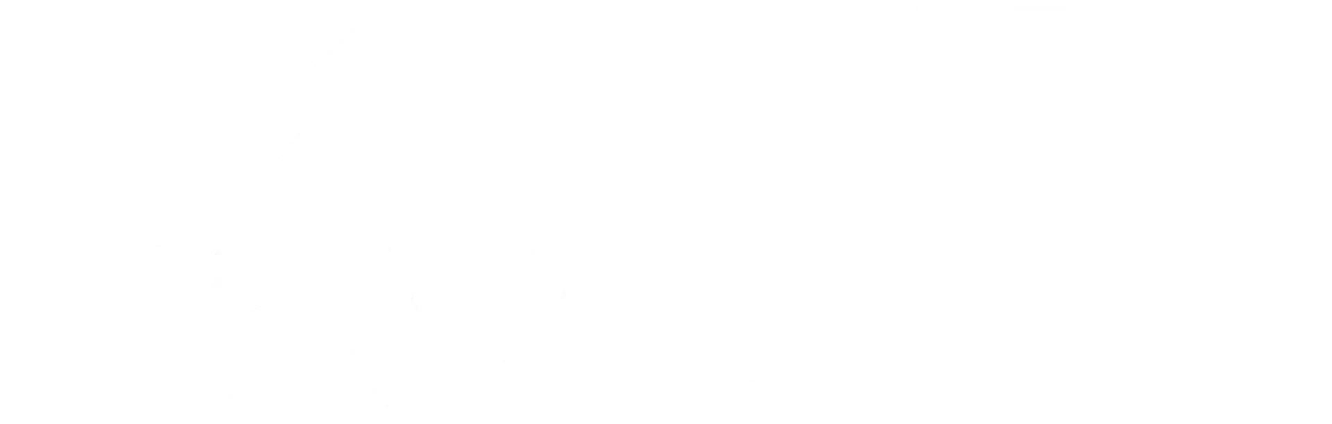 FLOR ALBA NUNEZ ANGEL Logo
