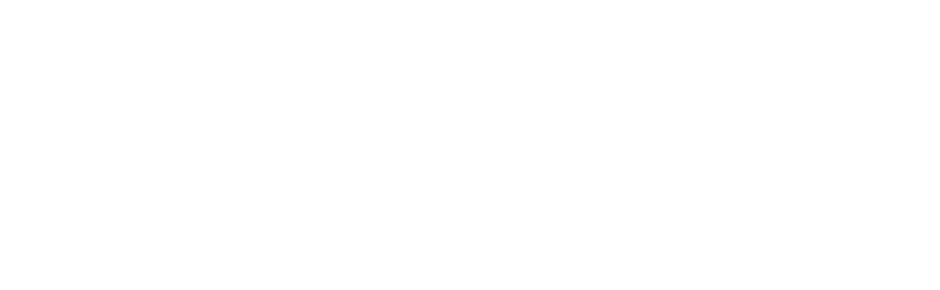 Vilmary Olaciregui Logo