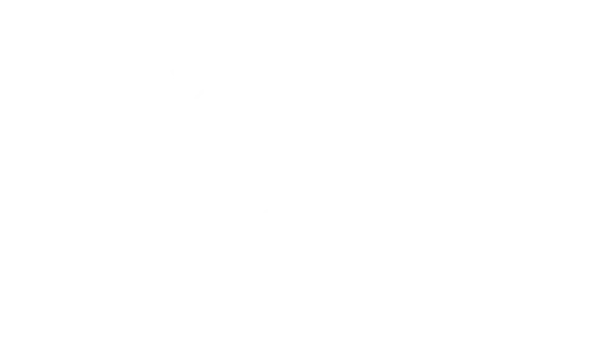 Daniel Mordechai Team Logo