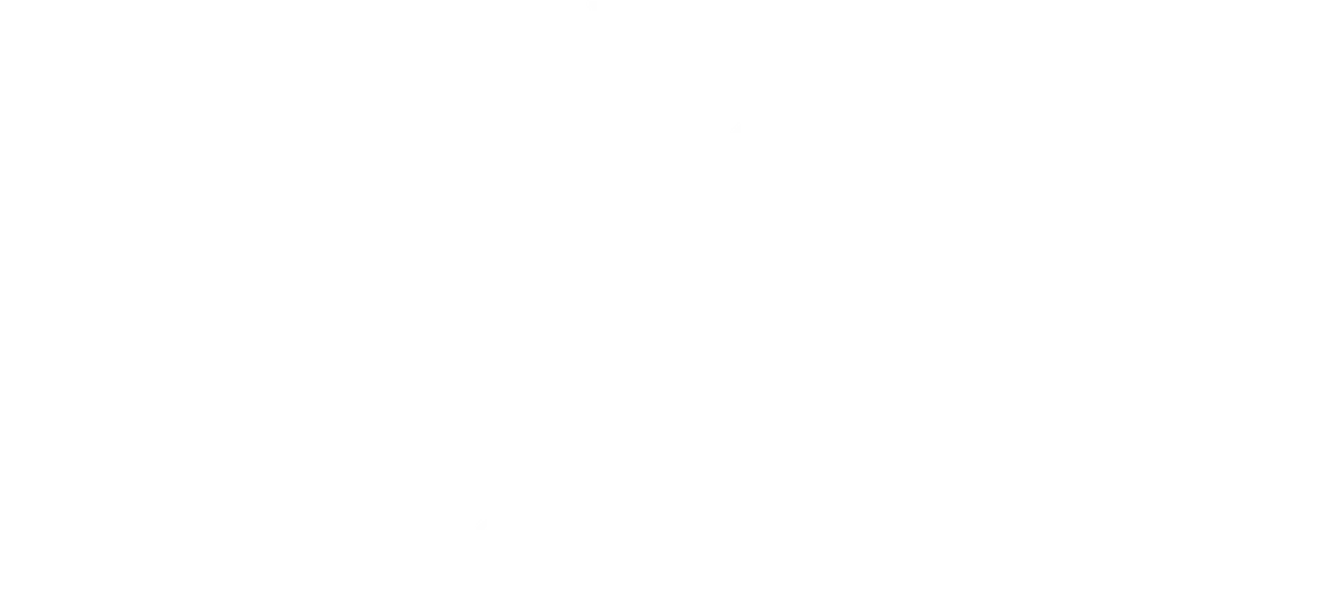Paola Andrea Serna Logo