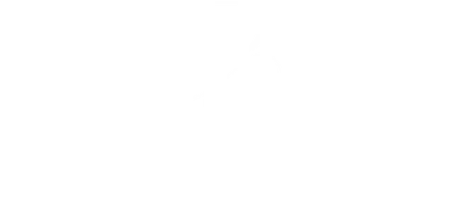 Paola Andrea Serna Logo