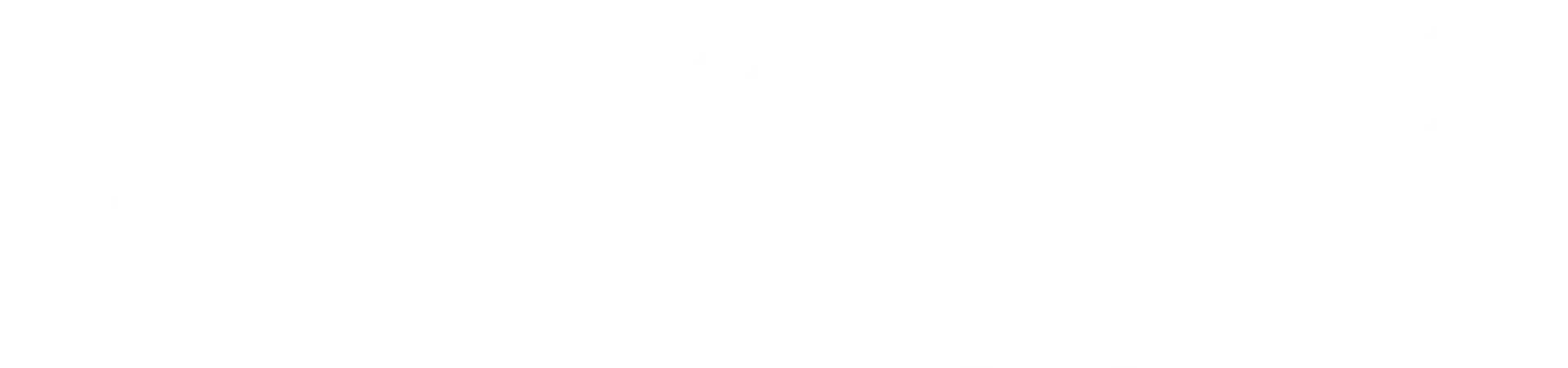 KARINA BORNACELLI Logo