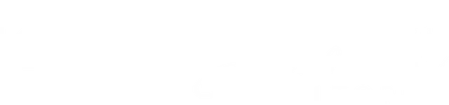 KARINA BORNACELLI Logo
