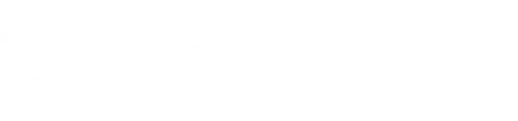 KARINA BORNACELLI Logo