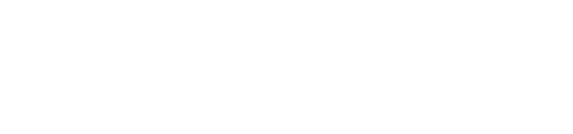 Valeria Bannikova P.A. Logo