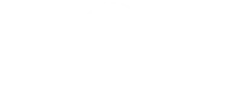 Silvia Serrao Logo