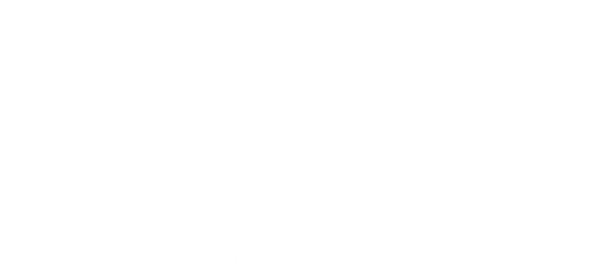 Nur Vega Logo