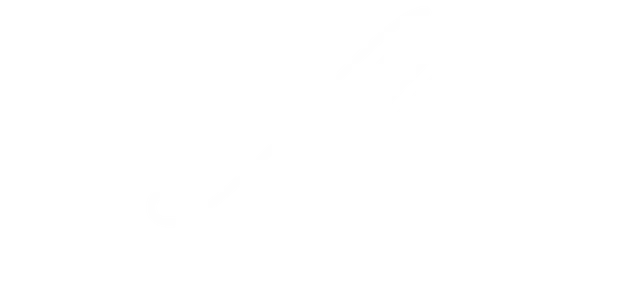melissa villegas Logo