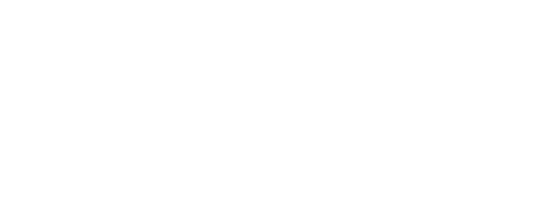 Elva Viviana Perez Logo