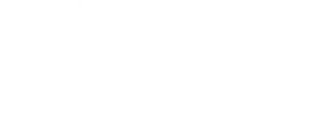 Elva Viviana Perez Logo