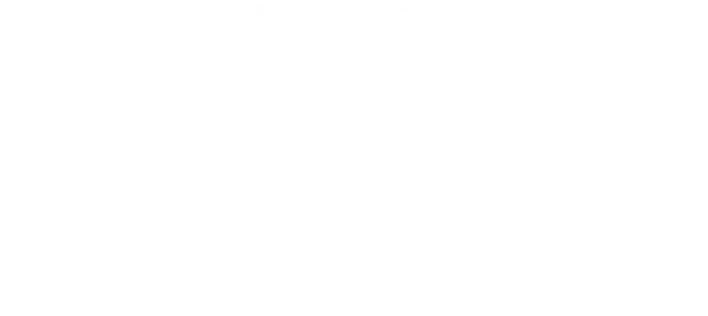 Ironel Moraga Salas Logo