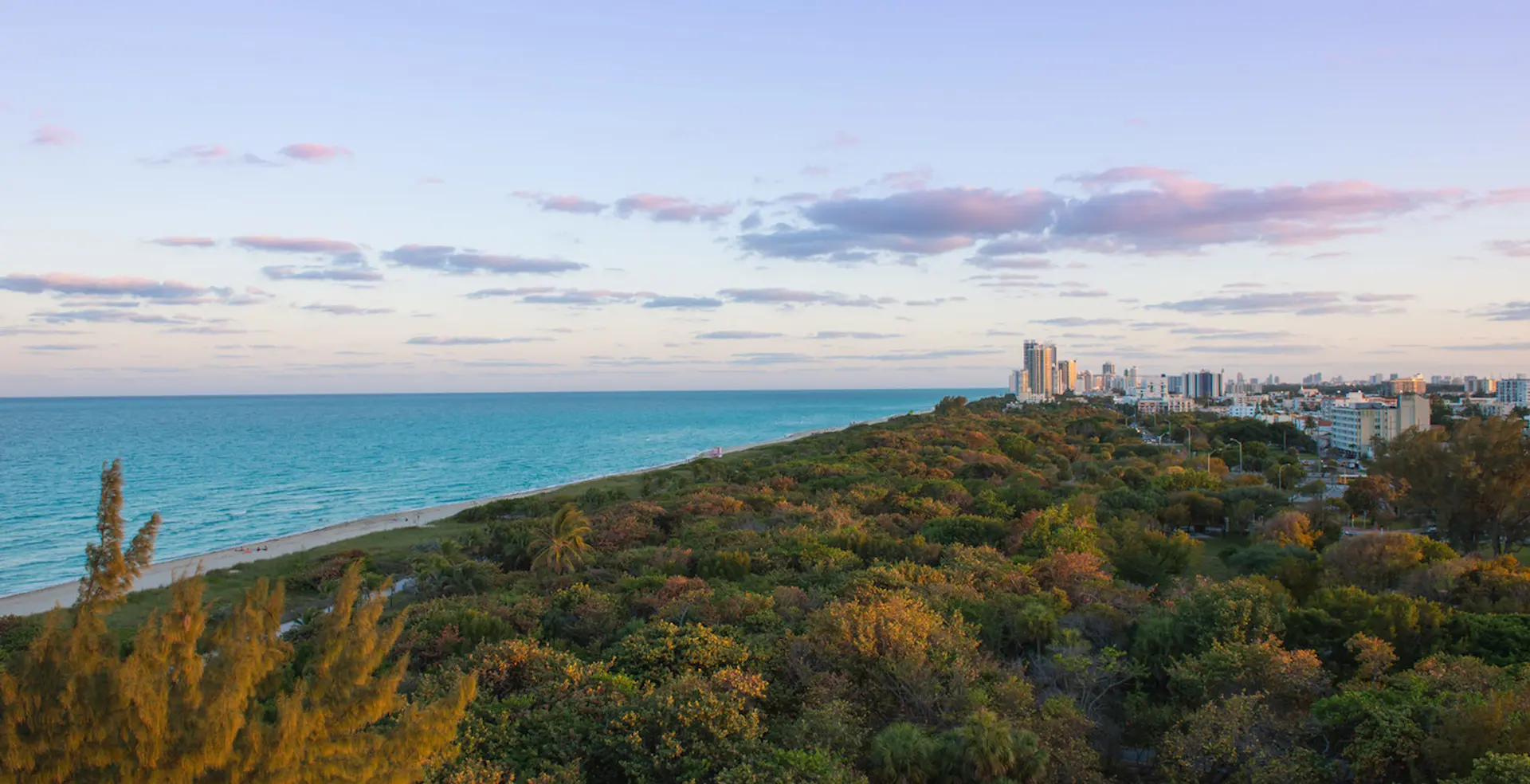 Eighty Seven Park photo 4