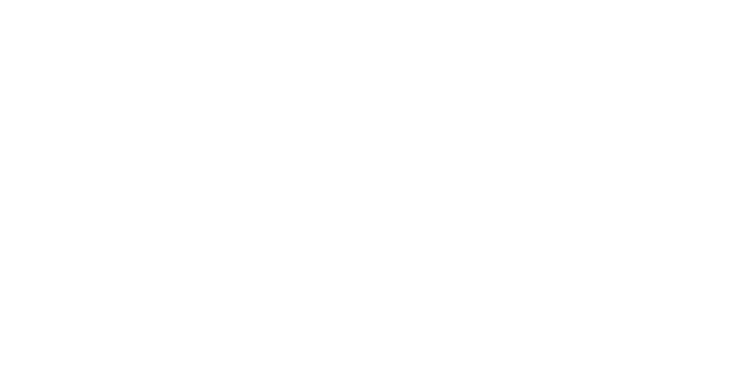 Ritz Carlton South Beach logo