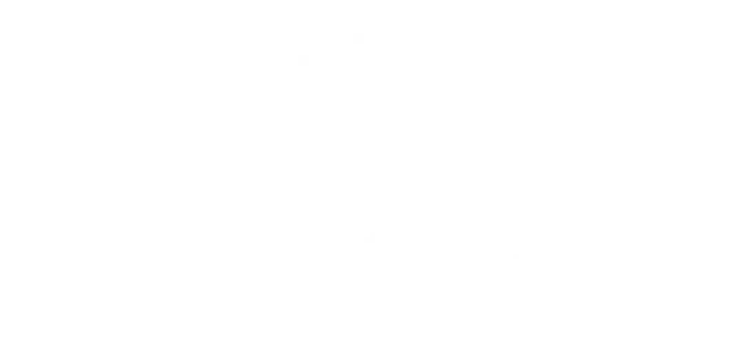 METROPICA logo