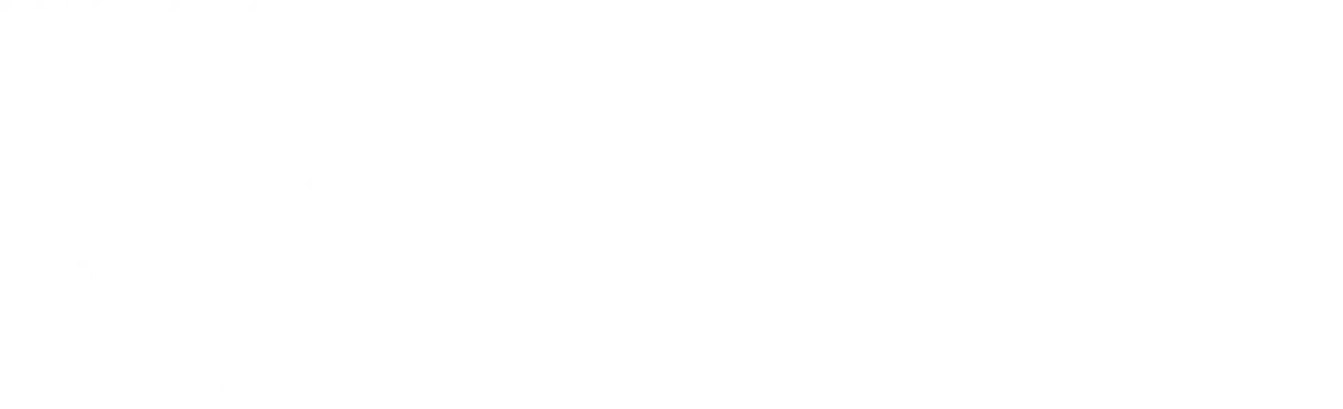 Iris on the Bay logo