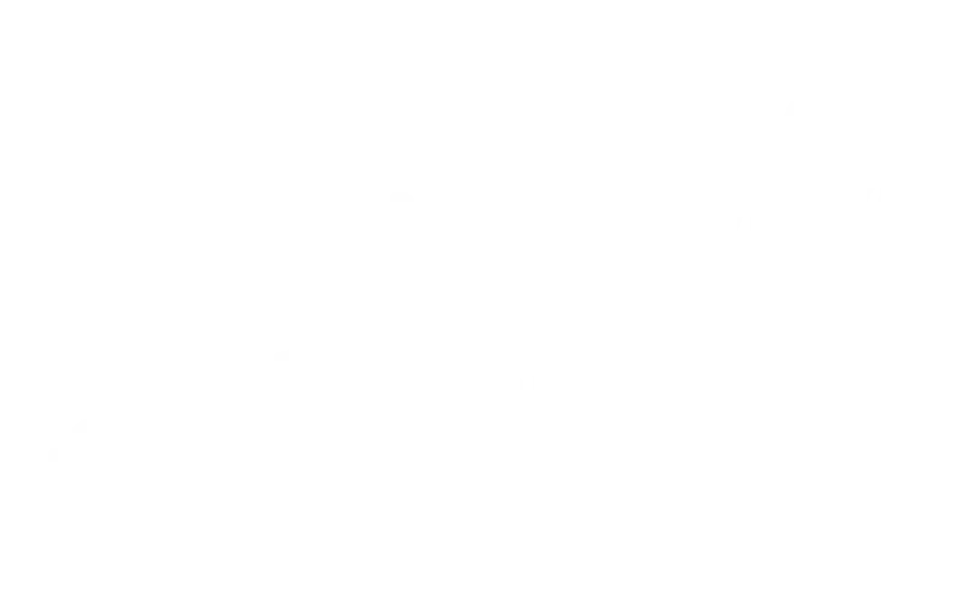 Summerville Resort logo