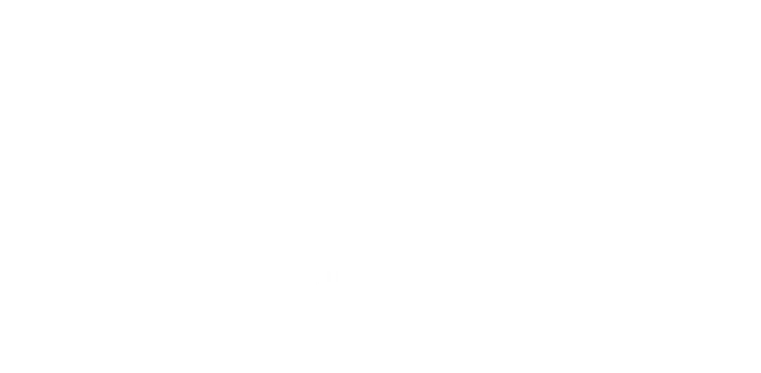The Standard logo