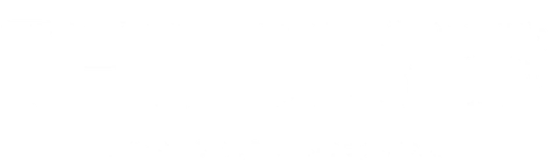 The Elser logo