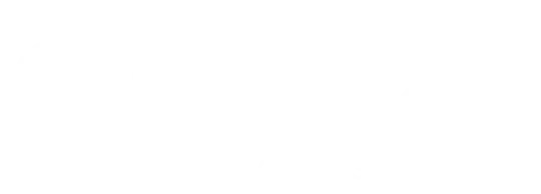 DOMUS Brickell Park logo