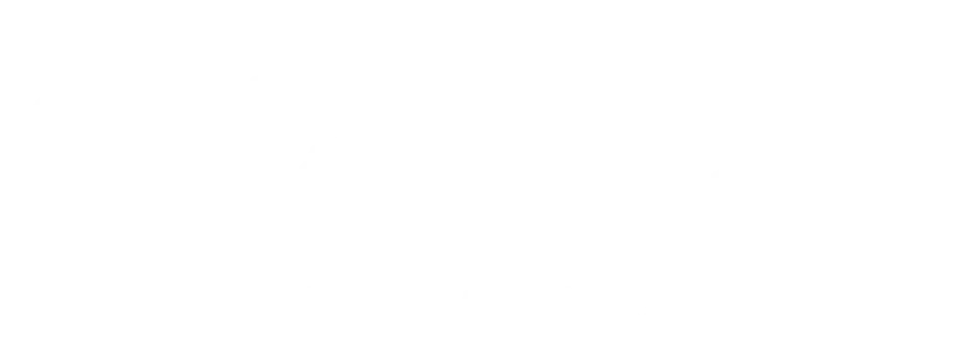 DOMUS Brickell Park logo