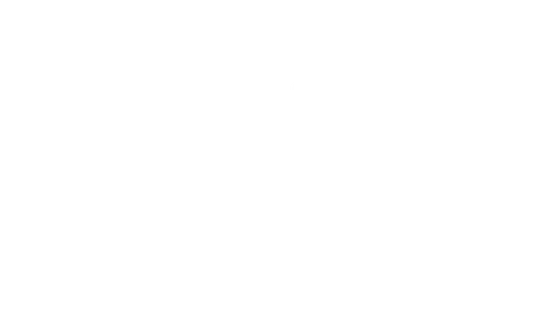 9900 WEST logo