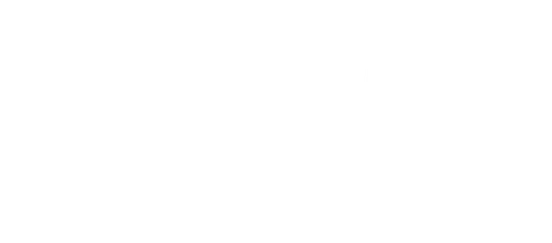 Villa Miami logo