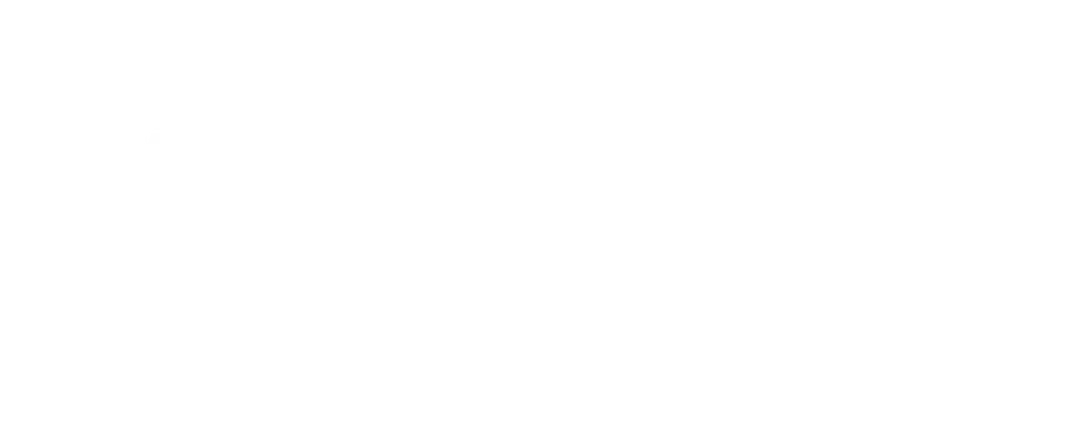 Viceroy Brickell logo