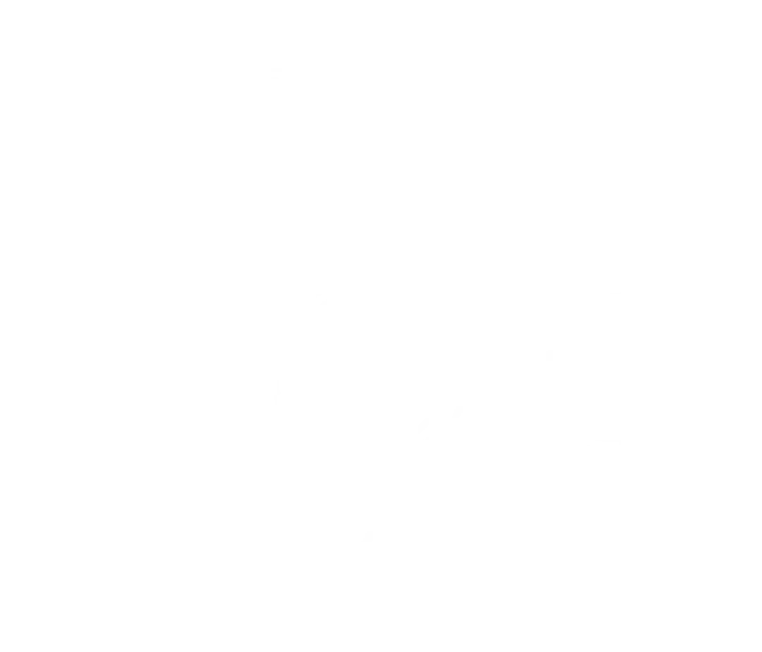 14 ROC logo