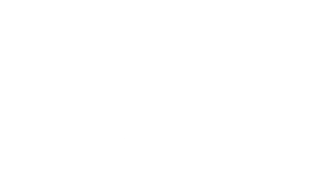 South Flagler House logo