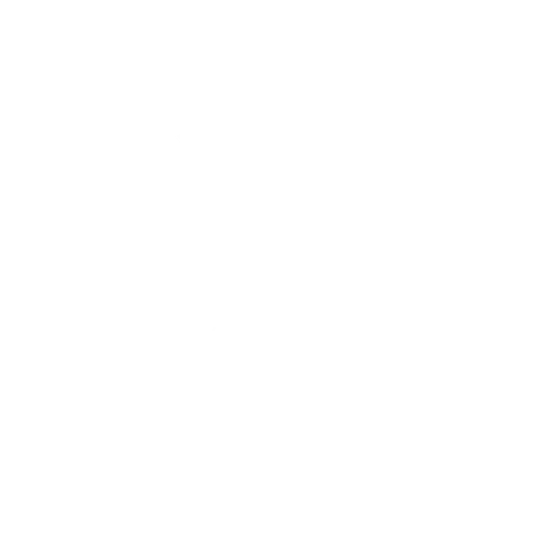 OPUS logo