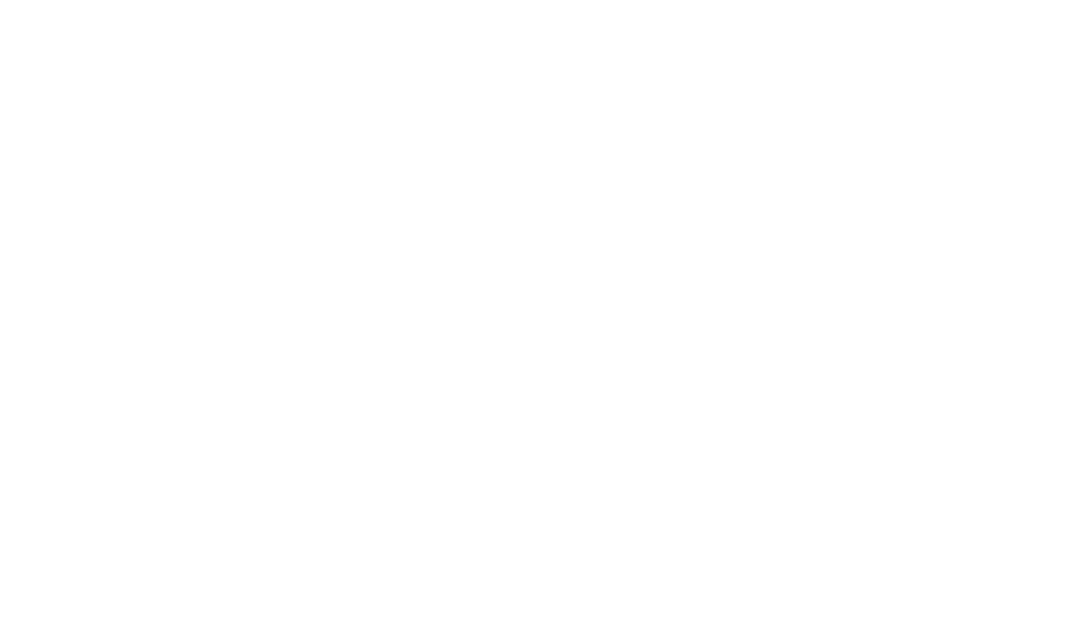 PARKSIDE logo
