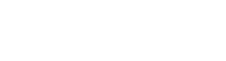 Steven Pesso Logo