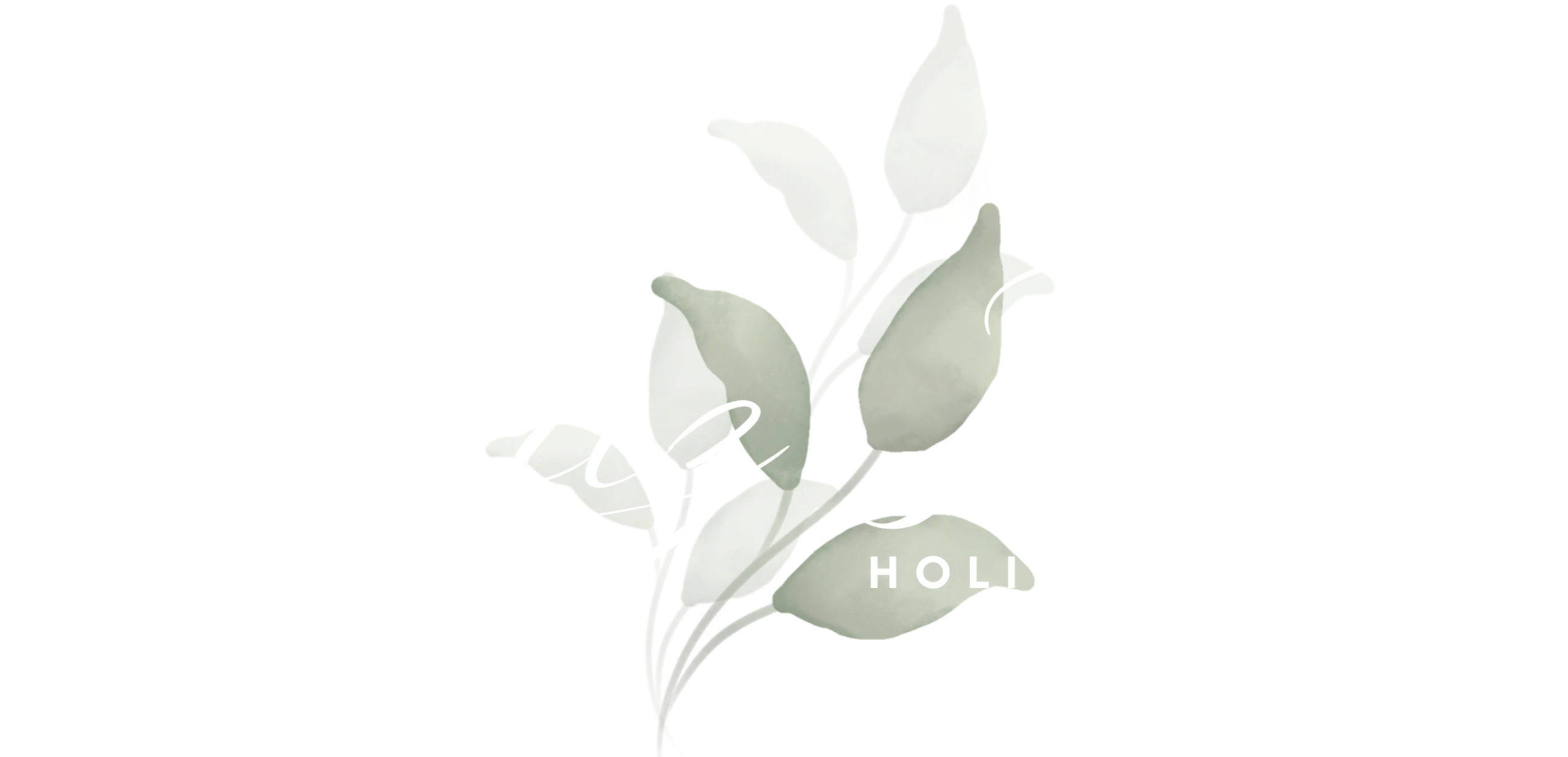 Deniz Kilic Logo