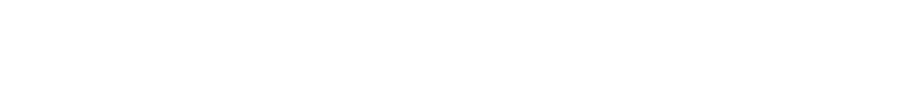 Liz Evans Logo
