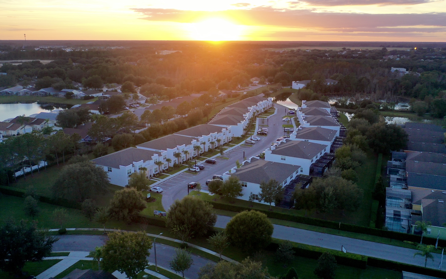 Hero Image of website