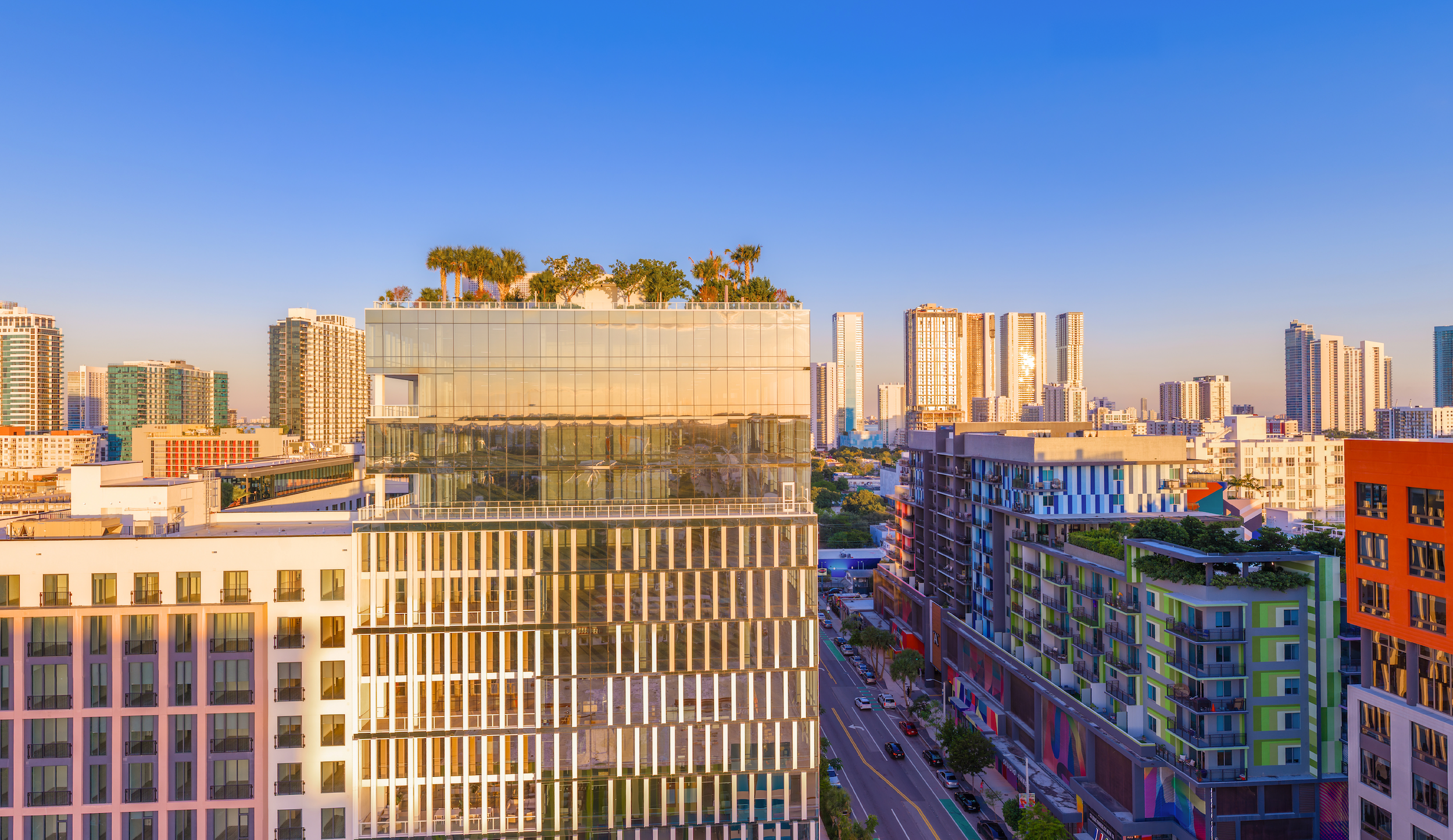 Hero Image of website